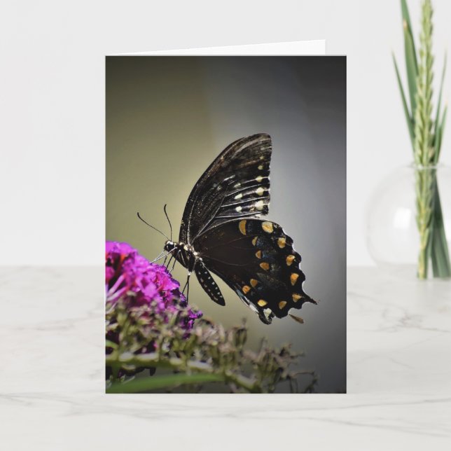 Papillon, carte (Devant)