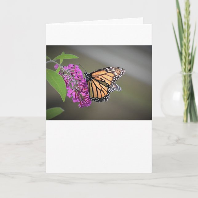 Papillon, carte (Devant)