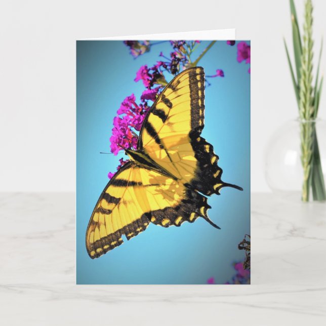 Papillon, carte (Devant)