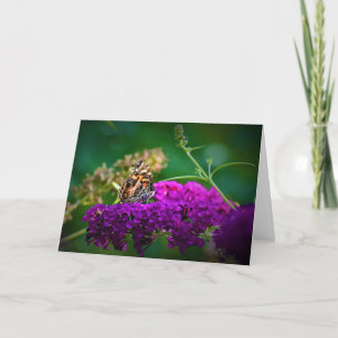 Papillon, carte