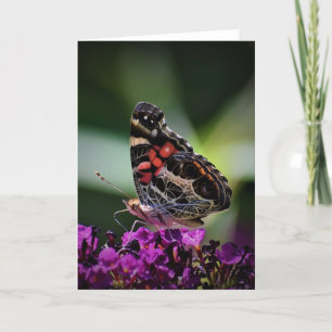 Papillon, carte