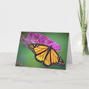 Papillon, carte