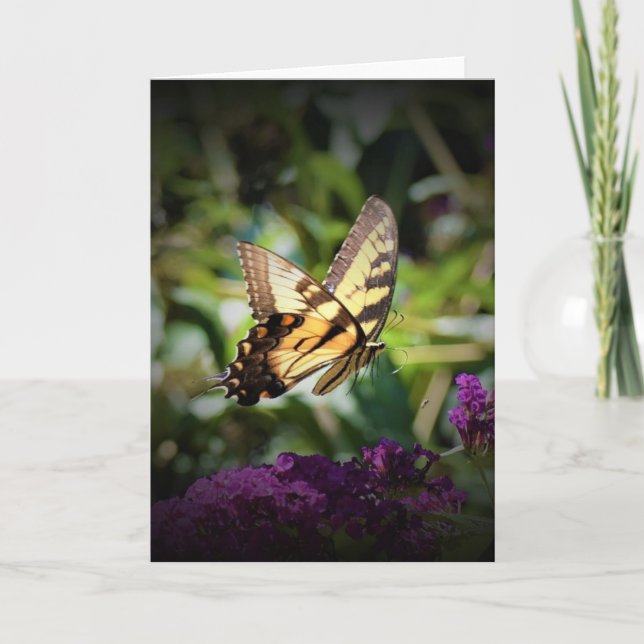 Papillon, carte (Devant)