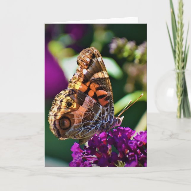 Papillon, carte (Devant)