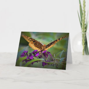 Papillon, carte