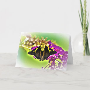 Papillon, carte