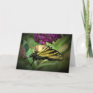 Papillon, carte