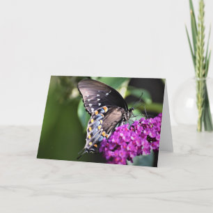 Papillon, carte