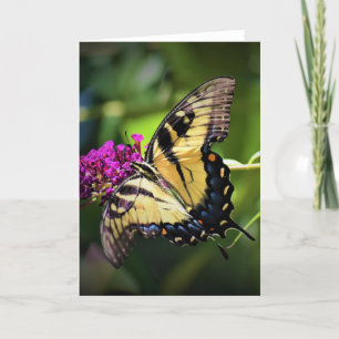 Papillon, carte