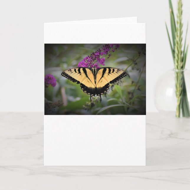 Papillon, carte (Devant)