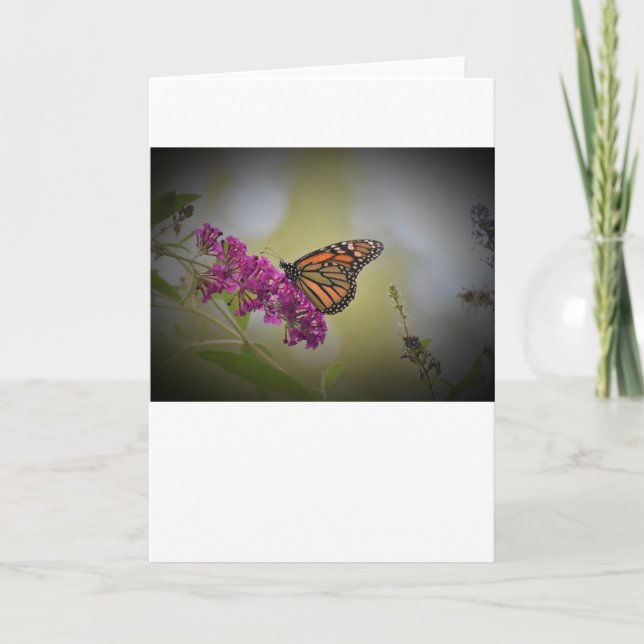 Papillon, carte (Devant)