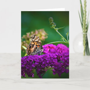 Papillon, carte