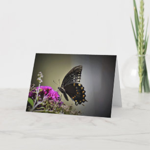 Papillon, carte