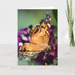 Papillon, carte