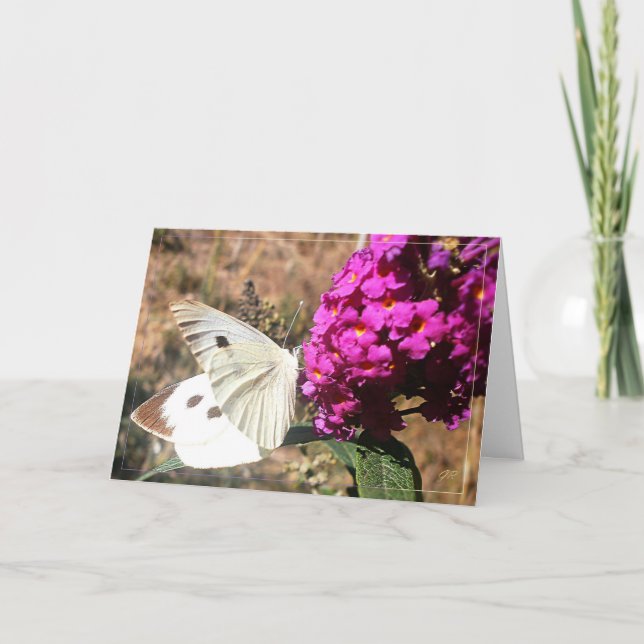 Papillon. Carte de vœux. (Devant)