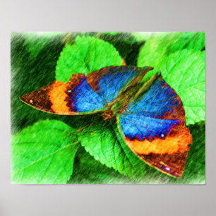 Papillon coloré Poster Art Nature