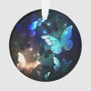 Papillon de nuit voltigeant
