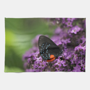 Papillon de photo de serviette de cuisine