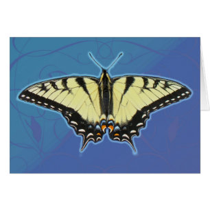 Papillon de queue de tigre