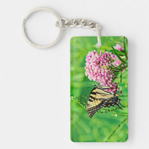 Papillon d'épaisse du tigre oriental