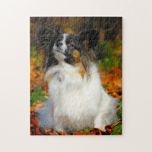 Papillon Dog. (Vertikal)