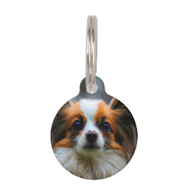 Papillon Dog. Haustiermarke