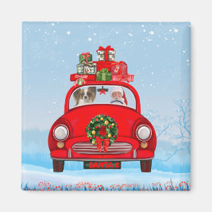 Papillon Dog in Auto mit dem Weihnachtsmann Magnet
