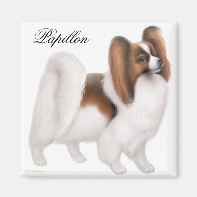 Papillon Dog Magnet (Vorne)