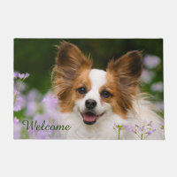 Papillon Dog Niedlich Romantic Potrait Foto - Will