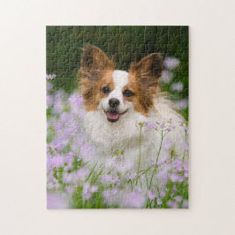 Papillon Dog Niedlich Romantisches Portrait