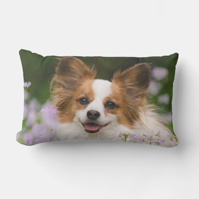 Papillon Dog Niedlich Romantisches Portrait Foto A Lendenkissen (Vorderseite)