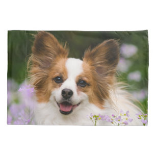 Papillon Dog Niedlich Romantisches Portrait Foto - Kissenbezug