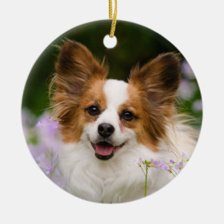 Papillon Dog Romantisches Niedliches Portrait Keramikornament