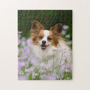 Papillon Dog Romantisches Portrait Game 11x14