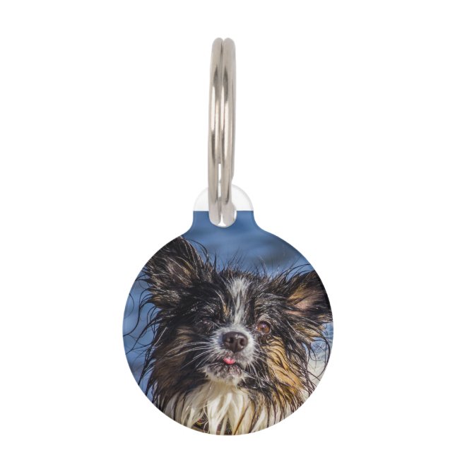 Papillon Dog Tags. Haustiermarke (Vorderseite)