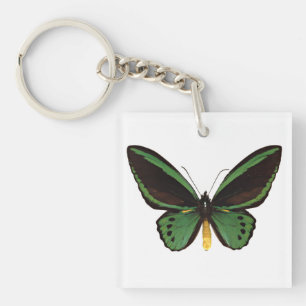 Papillon d'oiseau vert