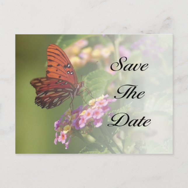 Papillon Enregistrer la date carte postale (Devant)