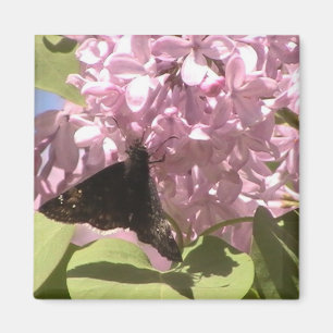 Papillon et aimant Lilacs