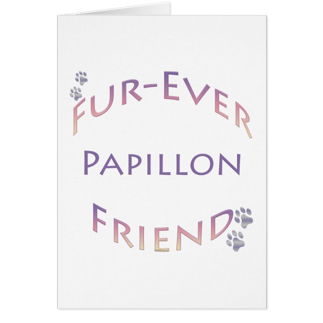 Papillon Furever (Vorne)