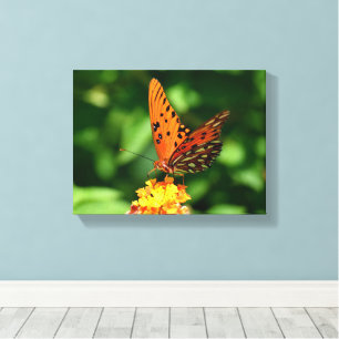 Papillon Gulf fritillaire Toile tendue imprimée