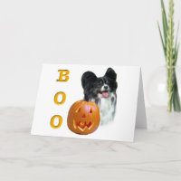 Papillon Halloween BOO