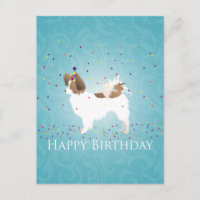 Papillon - Happy Birthday