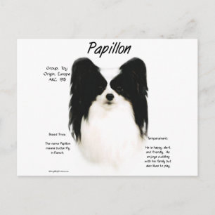Papillon History Design Postkarte