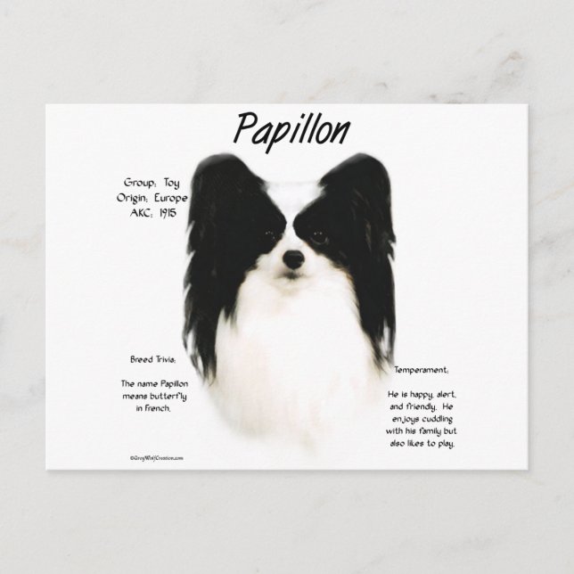 Papillon History Design Postkarte (Vorderseite)