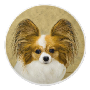 Papillon (Hound Tri) Malerei - Original Hundeschul Keramikknauf