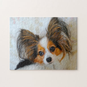 Papillon-Hund.