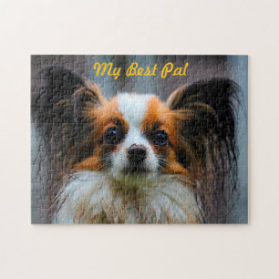 Papillon-Hund.