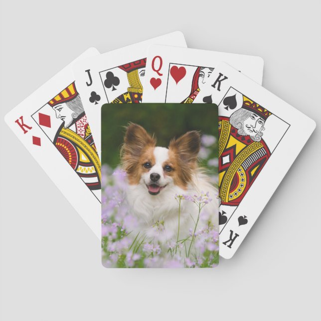 Papillon Hundeniedliches romantisches Porträt, Spielkarten (Rückseite)