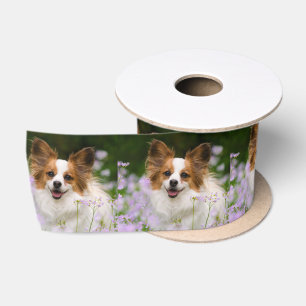 Papillon Hundeniedliches romantisches Satinband
