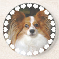 Papillon HundeUntersetzer